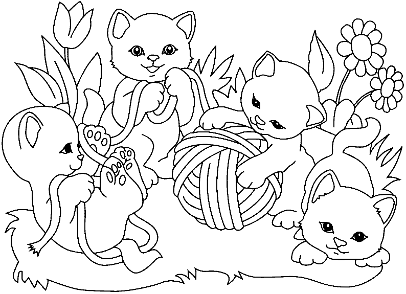 Chat coloriage Coloriages chat